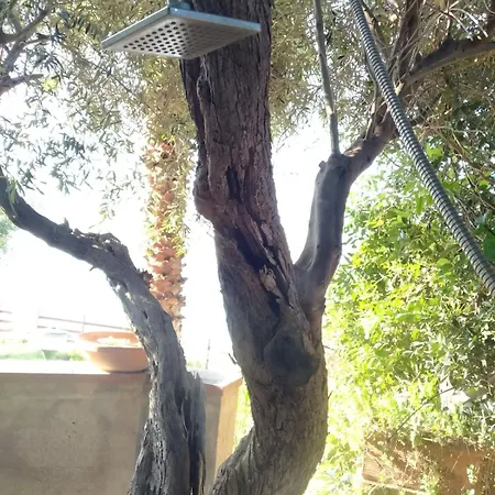 La Pergola Sul Mare Apartment Mandra Capreria