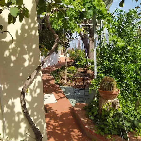 La Pergola Sul Mare Apartment