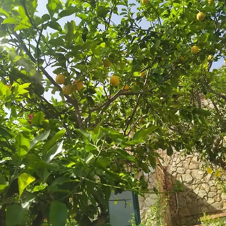 La Pergola Sul Mare *
